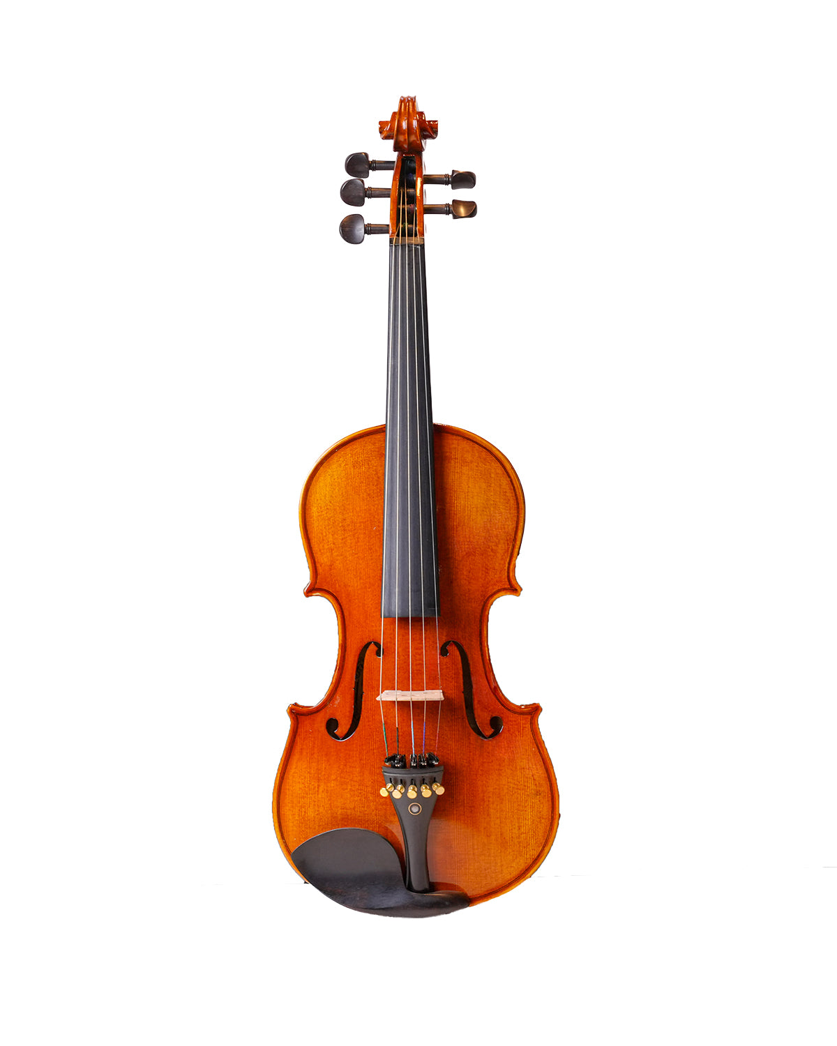Filbert Violin FV303E (5 String Violin)