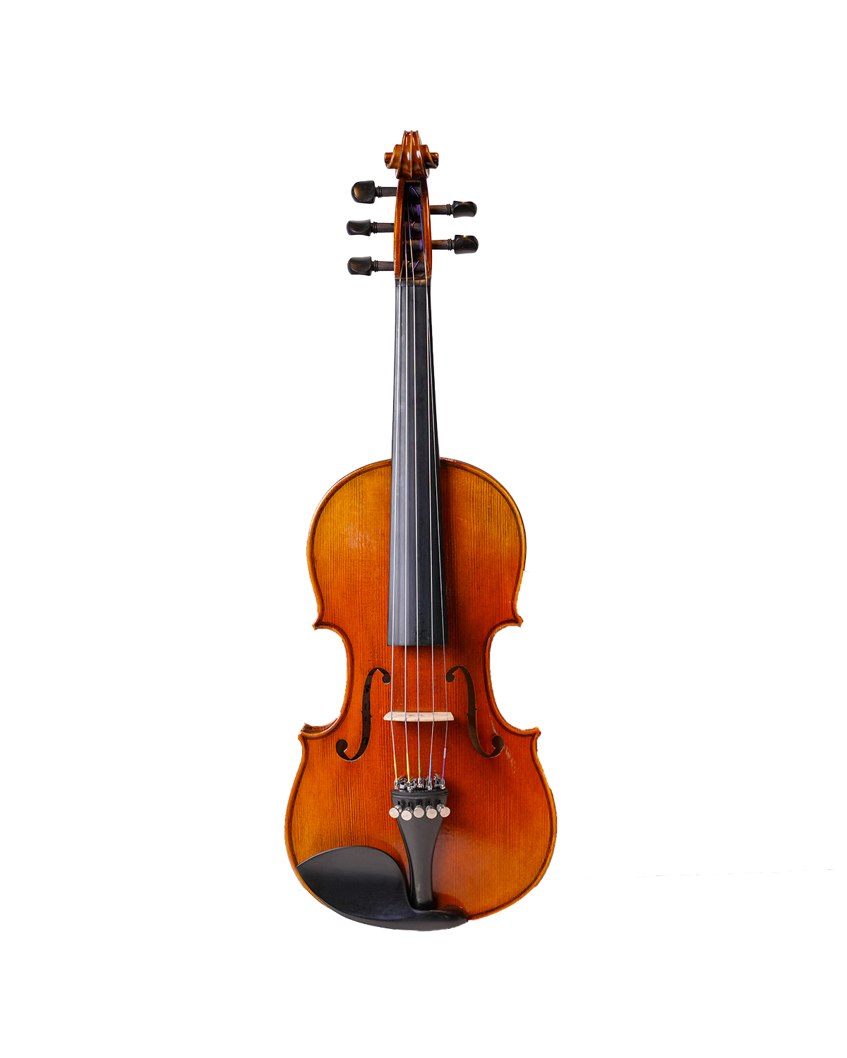 Filbert Violin FV14 (5 String Violin)
