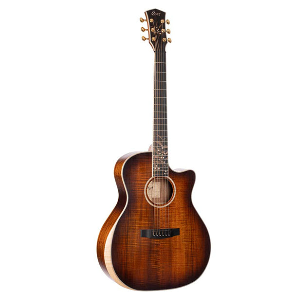 Cort The Black Tree acoustic guitars