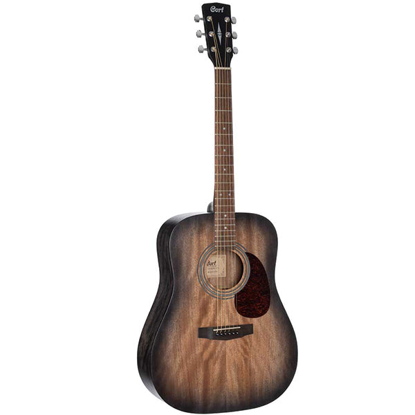 Cort Earth60M acoustic guitars