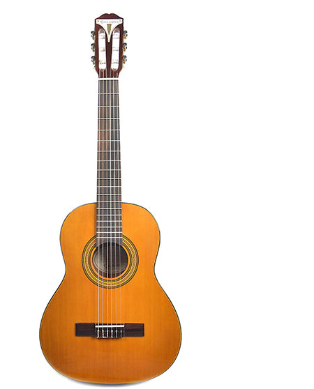 Epiphone PRO-1 Classic 3/4 Size Guitar