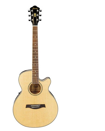 Ibanez AEG8E Semi Acoustic Guitar