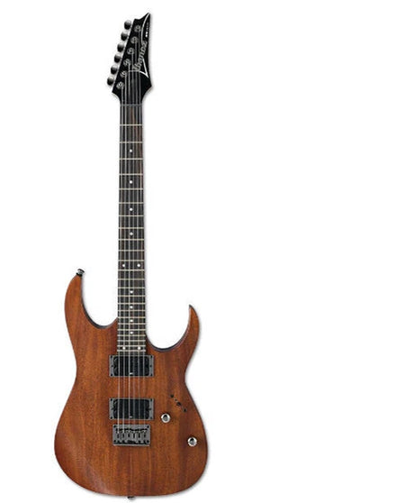 Ibanez RG421 Electric Guitar