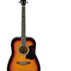 Ibanez V50NJP Acoustic Guitar
