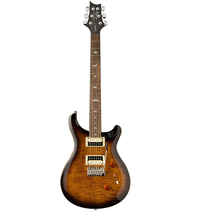 PRS SE CUSTOM 24 Electric Guitar