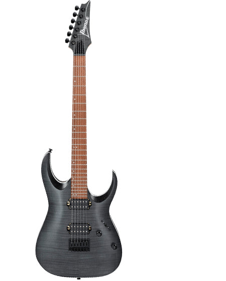 Ibanez RGA42FM Electric Guitar