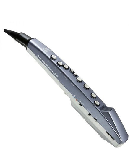 Roland AE-01 Aerophone Mini Digital Wind Instrument