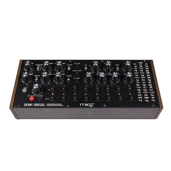 Moog DFAM