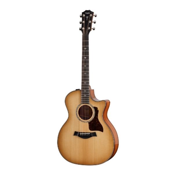 Taylor 514ce,Urban Ironbark/Torrefied Sitka