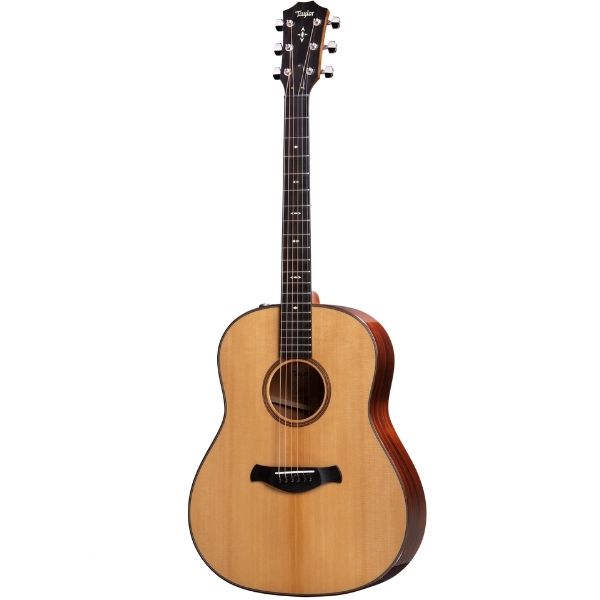 Taylor Builder's Edition 517e,Nat Top