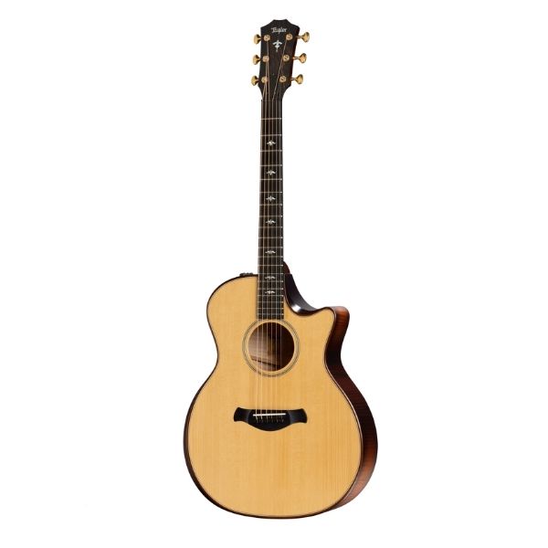 Taylor Builder's Edition 614ce,Nat Top