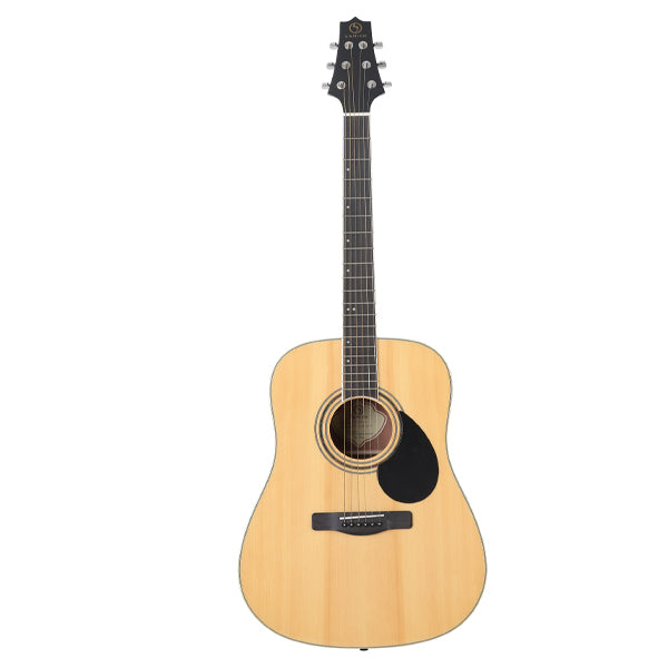 Samick DS-100S Acoustic Guitar