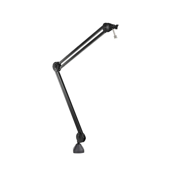 Zoom Mounts Stands and Brackets