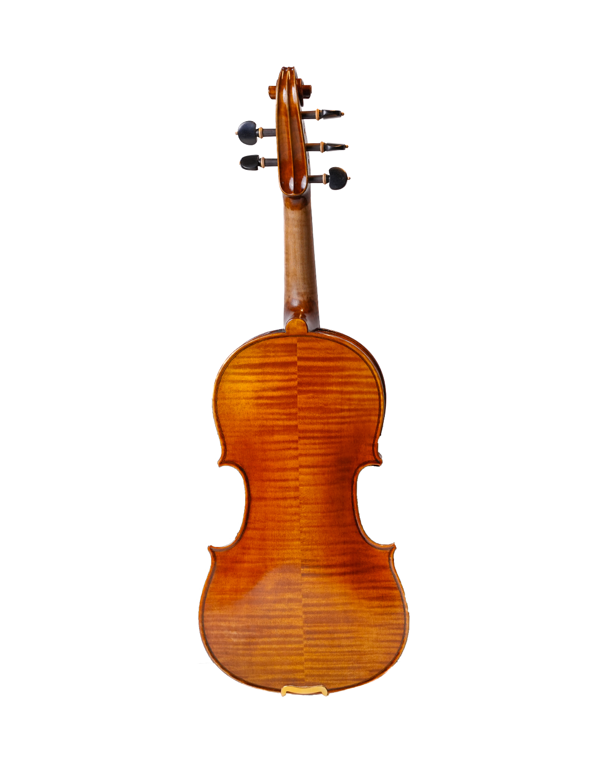 Filbert Violin FV23 (5 String Violin )