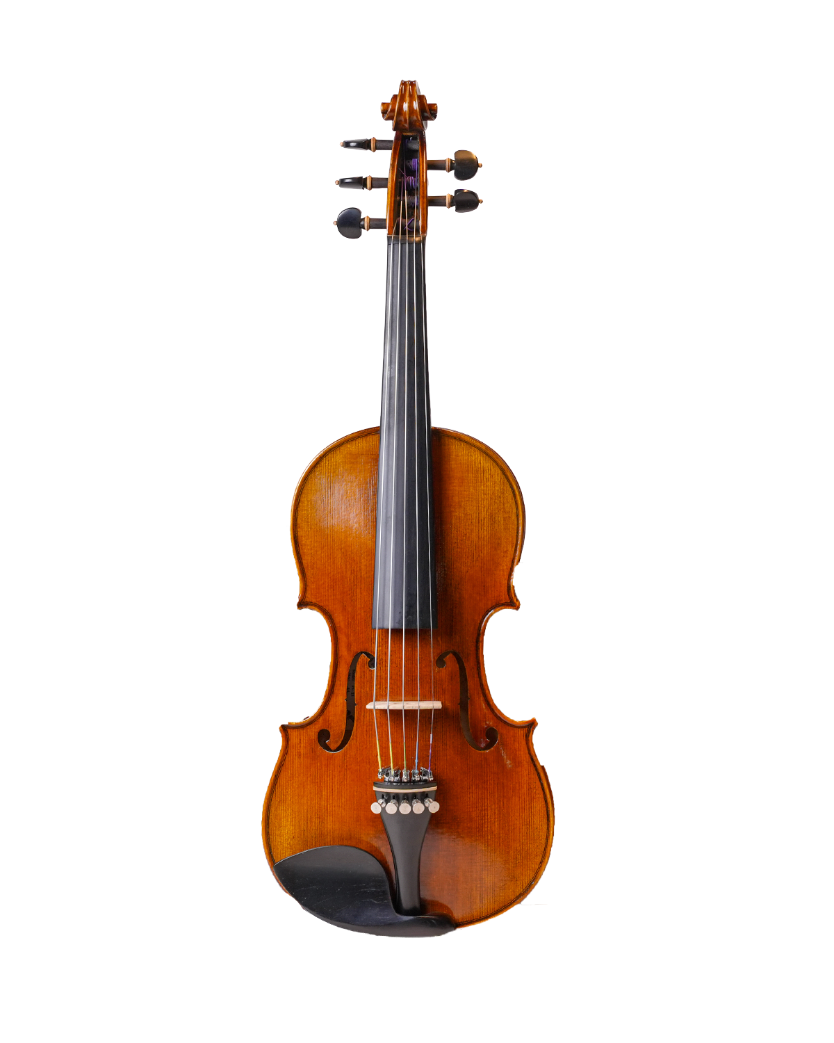 Filbert Violin FV23 (5 String Violin )