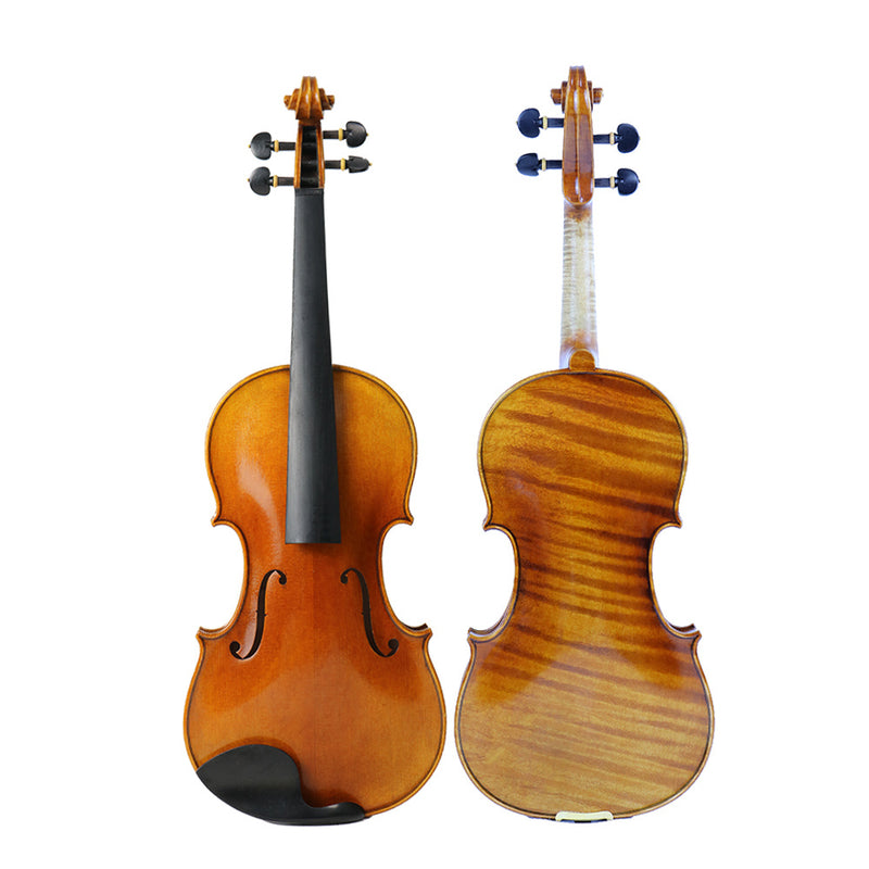 Filbert Violin FV41