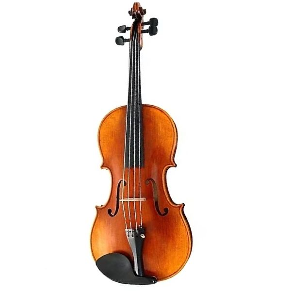 Stentor 1875A Violin "The Elysia" 4/4 Pern.Bow, De Luxe Case