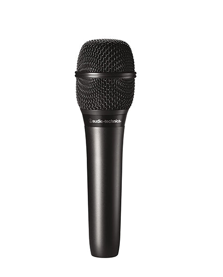 Audio Techinica AT2010 Cardioid Condenser Handheld Microphone