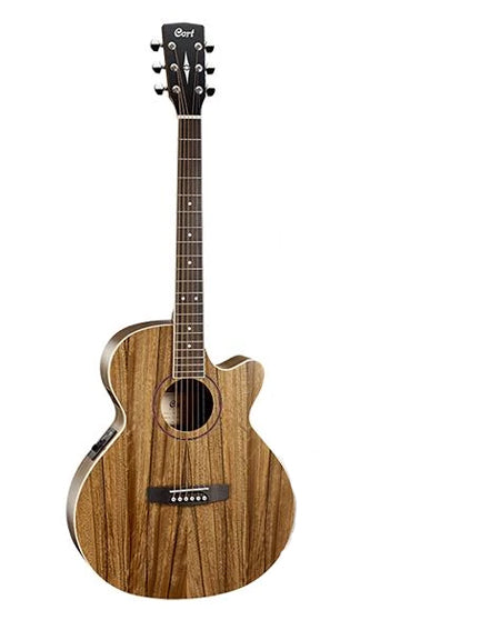 Cort SFX-DAO Semi Acoustic Guitar