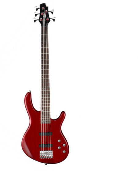 Cort Action Bass Plus V 5 String Bass Guitar