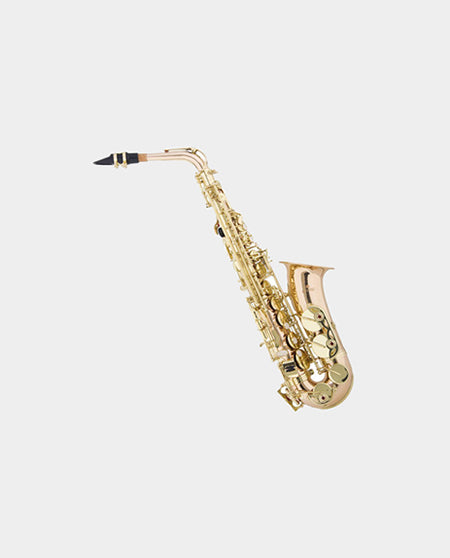 Filbert Alto Sax JBAS-200L