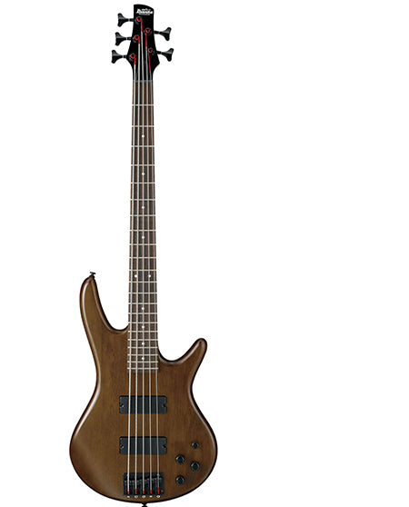 Ibanez GSR205B-WNF Bass Guitar
