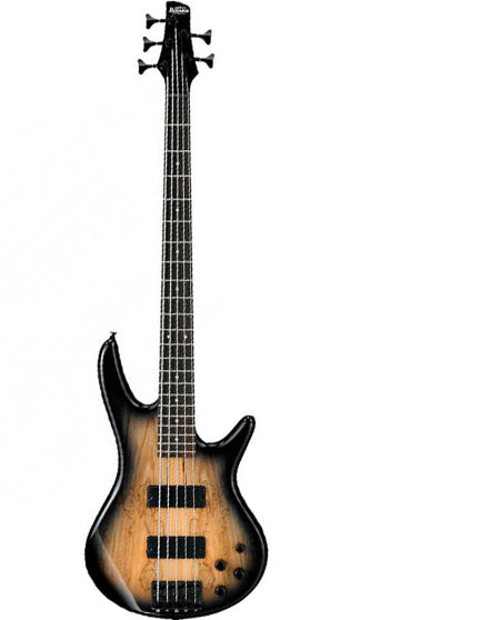 Ibanez GSR205SM Bass Guitar