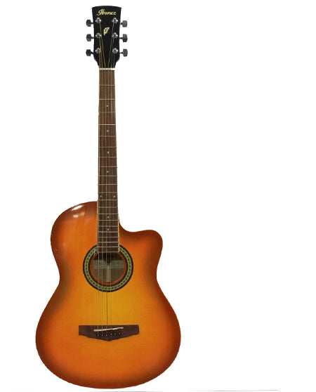 Ibanez MD39C Acoustic Guitar