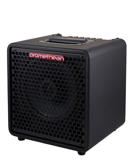 Ibanez P3110-U 300 Watts Promethean Bass Combo Amplifier