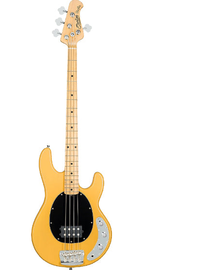 Music man Sterling RAY24CA Bass Guitar