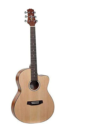 Ashton D10C Acoustic Guitar
