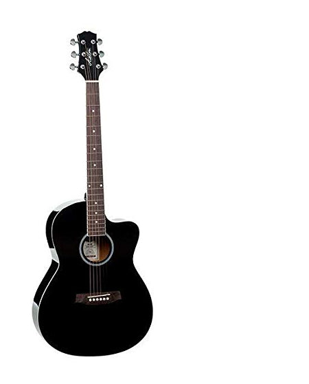 Ashton D10C Acoustic Guitar