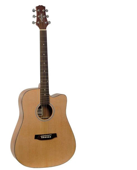 Ashton D20C Acoustic Guitar