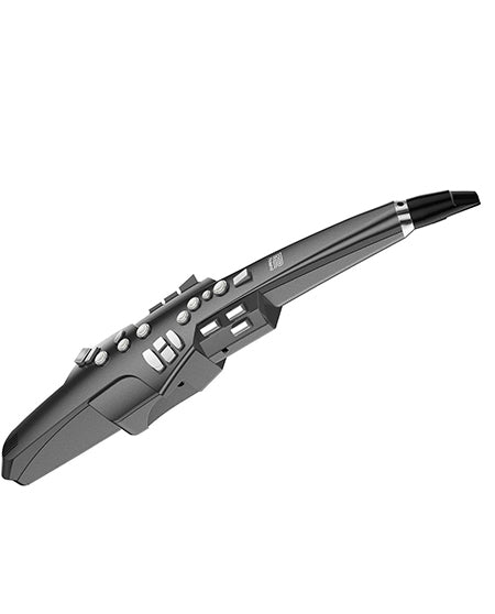 Roland Aerophone AE-10G