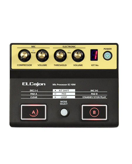 Roland EC-10M Elcajon Mic Processor